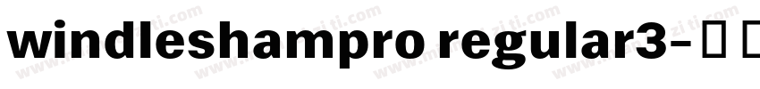 windleshampro regular3字体转换